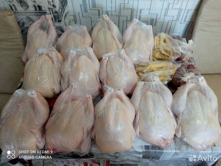 Круглый год Мясо кур бройлера домашнее