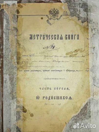 Помогу в работе над родословной