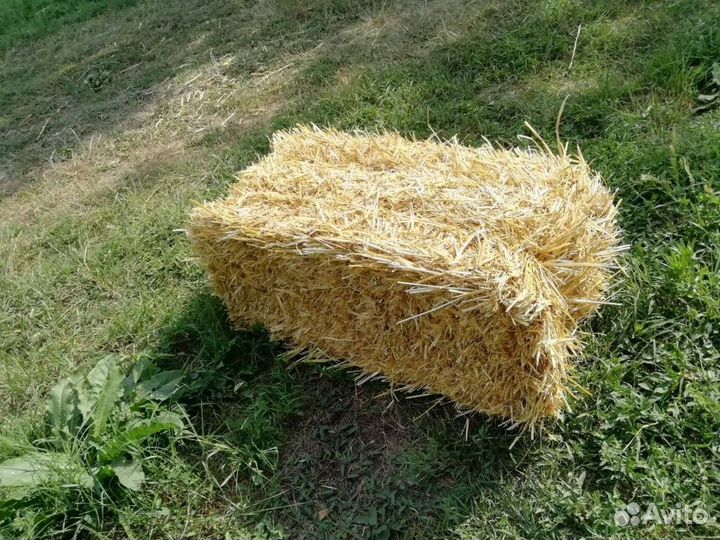 Сено люцерны,солома