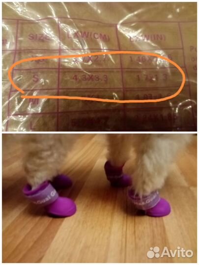 Обувь для маленькой собачки