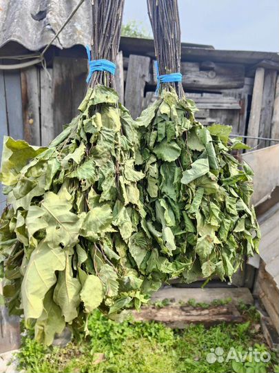 Веники для бани