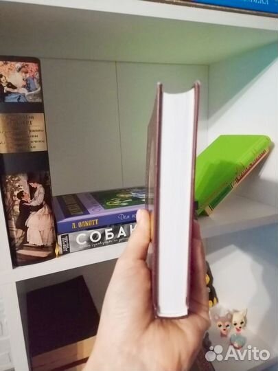 Книга Джек и Джилл Луиза мей Олкотт