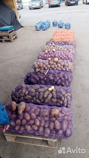 Продам картофель