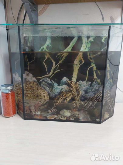 Аквариум с рыбками