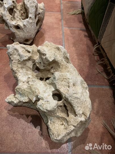 Меотис. Камень песчаник