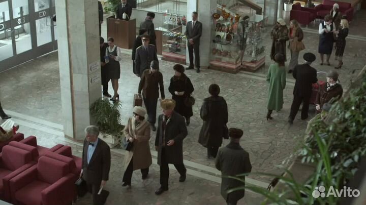 Комнатное растение Сциндапсус с историей