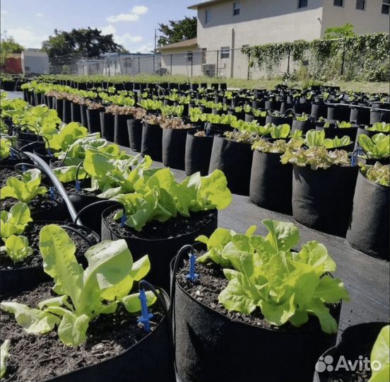 Гроубэг, мешок для выращивания растений