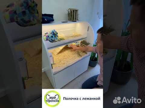 Стеллаж для морской свинки