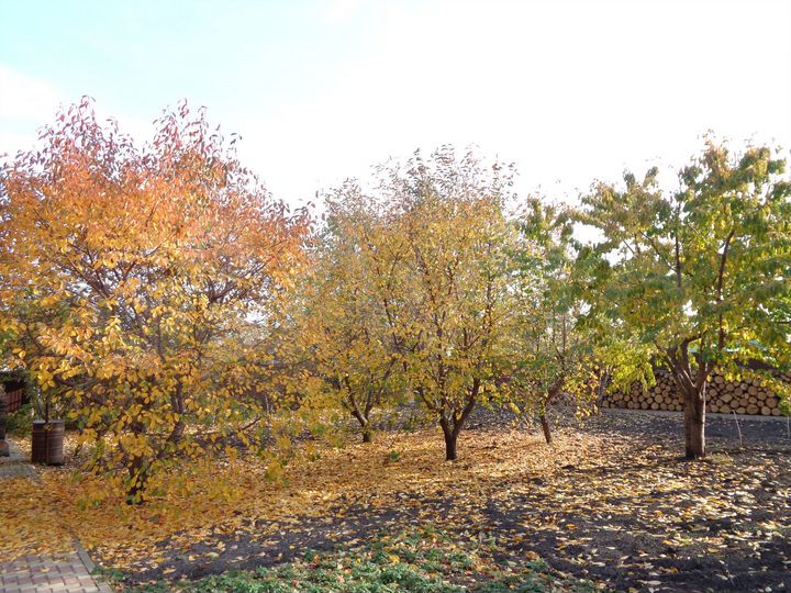 Коттедж 450 м² на участке 15 сот.