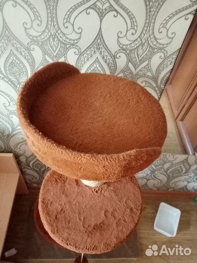 Товары для животных