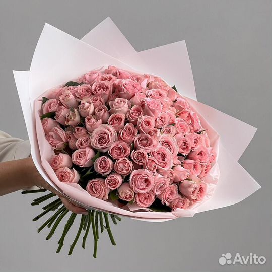 Роза Розы Роза