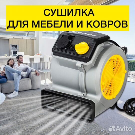 Аренда моющего пылесоса, парогенератора. Химчистка