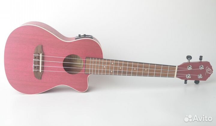 Укулеле концерт Ortega ruruby-CE Earth Series