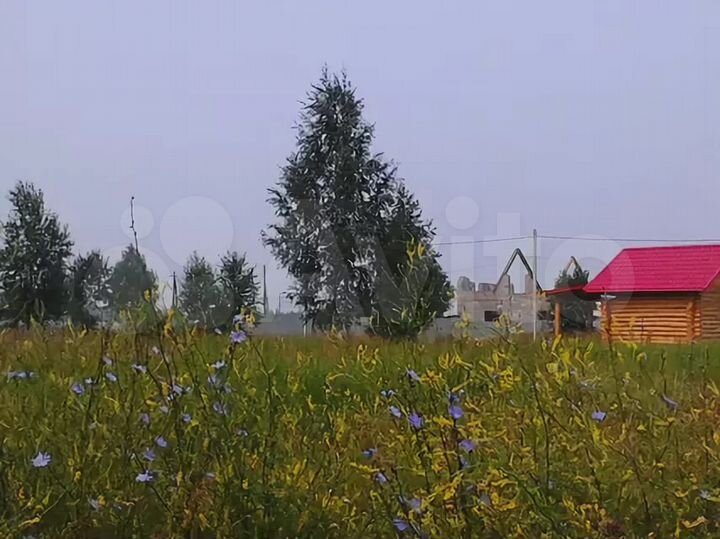 Участок 10 сот. (ИЖС)