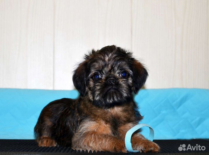 Северный парень