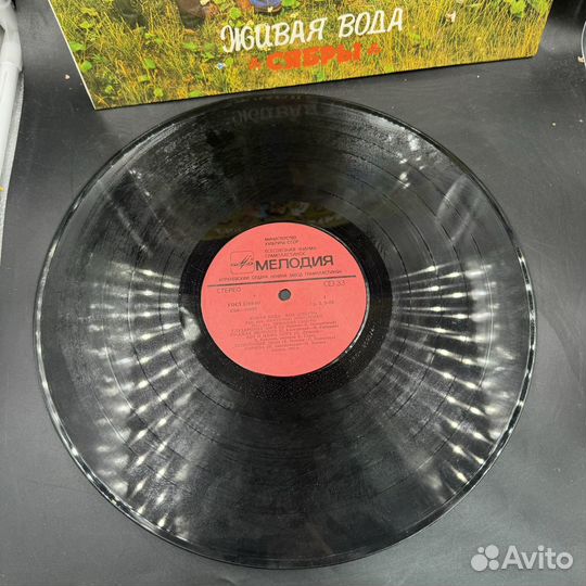 Виниловая пластинка Живая вода Сябры Русская