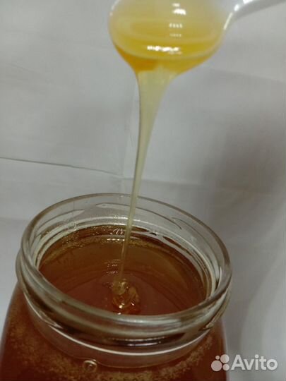 Купить мёд