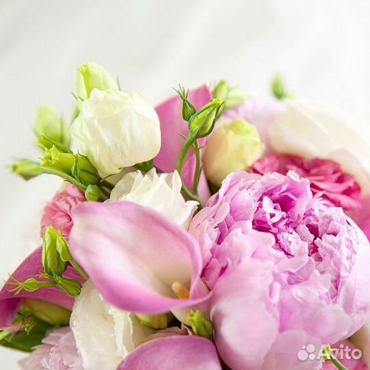 Мебельные купоны, велюр, 70см*70см