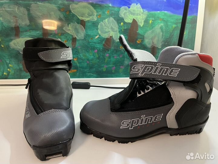 Лыжные ботинки spine