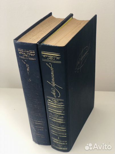 Лермонтов в 2 томах