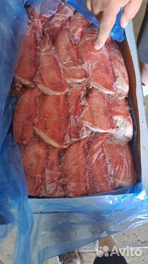 Морской окунь