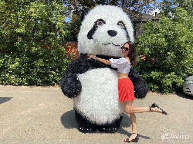 Большая Панда Поздравление