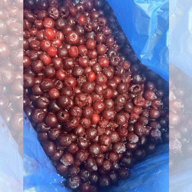 Вишня без Косточки