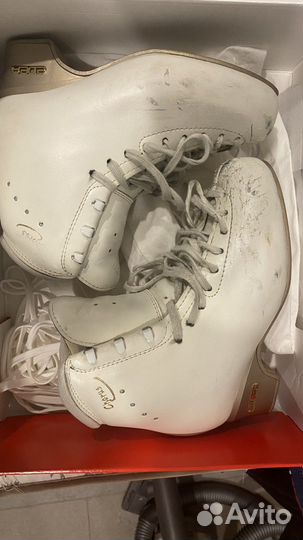 Ботинки Edea Chorus