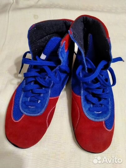 Самбовка красная