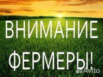 Рыбные отходы