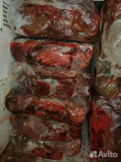 Мясо, рубец для собак