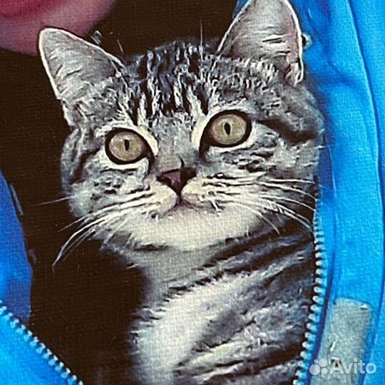 Фотографии в высоком качестве/ фото на заказ