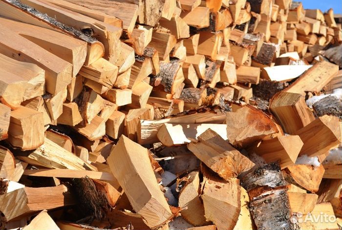 Дрова береза