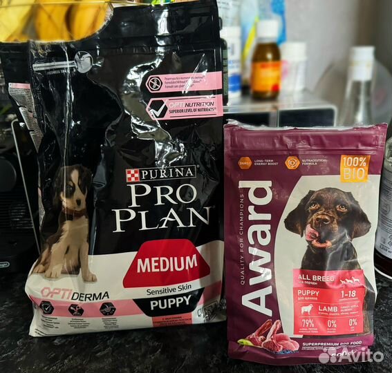 Корм для собак