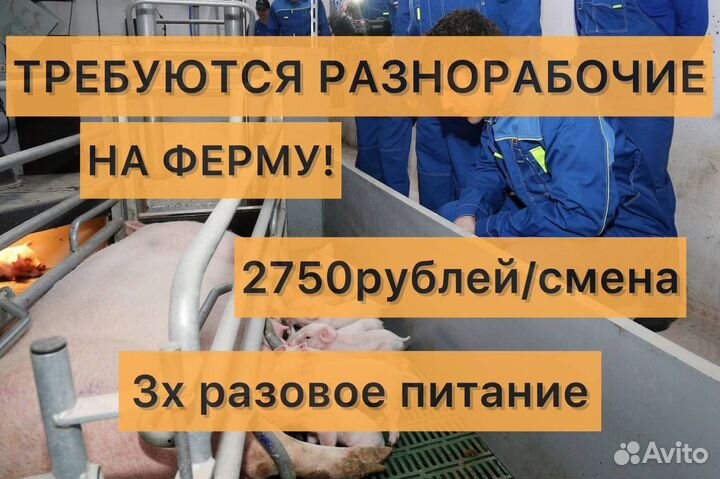 Разнорабочие на ферму