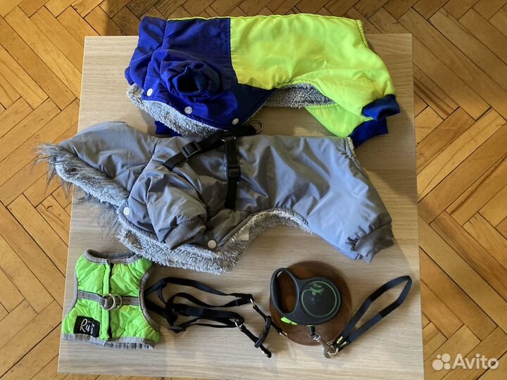 Одежда для маленьких пород собак