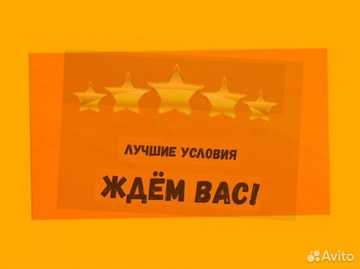 Наборщик заказов Без опыта Еженедельные выплаты