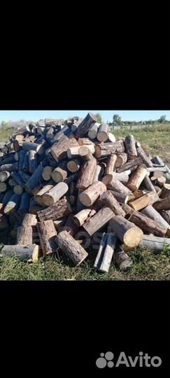 Дрова сухие