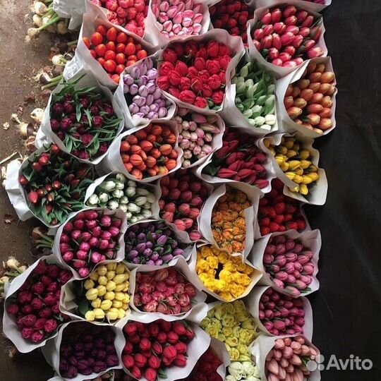 Тюльпаны к 8 марта