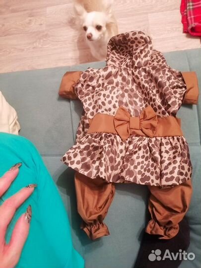 Одежда для собак мелких пород