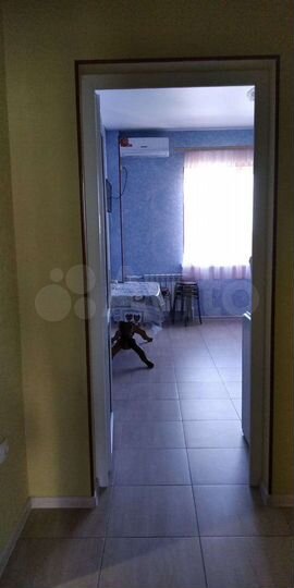 1-к. квартира, 50 м², 11/16 эт.