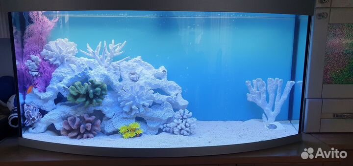 Чистка аквариума