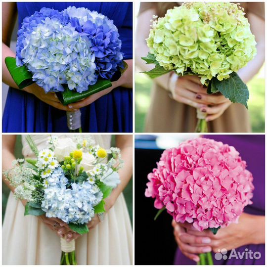 Гортензии Букеты из гортензий Цветы Доставка
