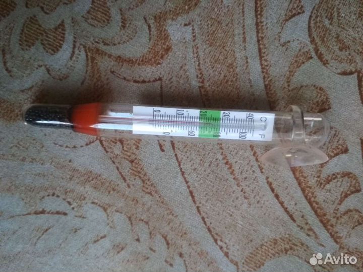 Термометр,растения,кормушка