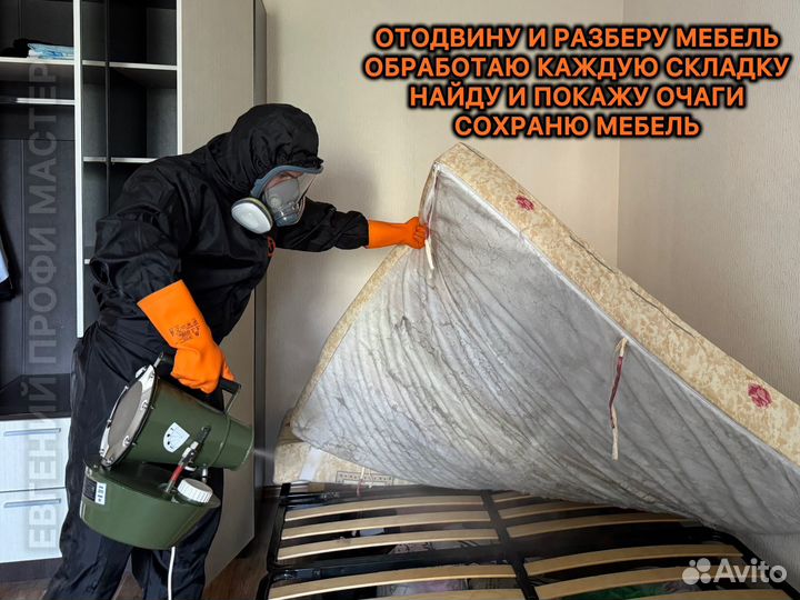 Уничтожение тараканов, клопов, блох, дезинфекция