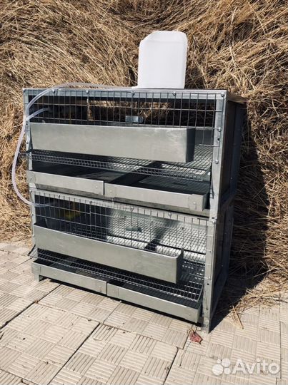 Клетки для перепелов