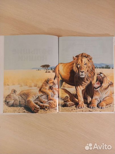 Энциклопедия животных Большие кошки, новая