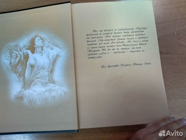 Книга бегущая с волками