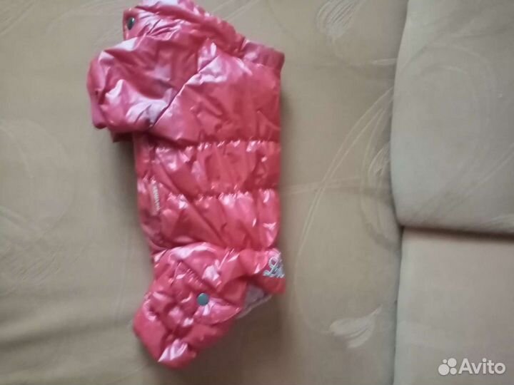 Одежка, ошейники, поводки, обувь для собак мелких