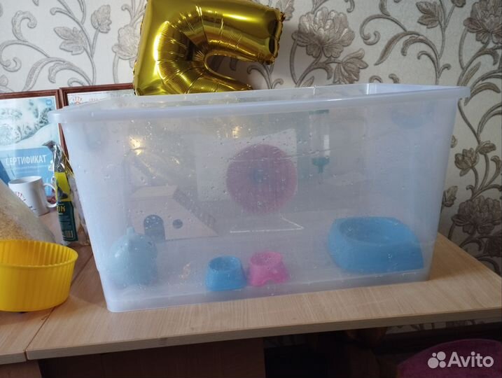 Готовый дом контейнер для хомяка джунгарика